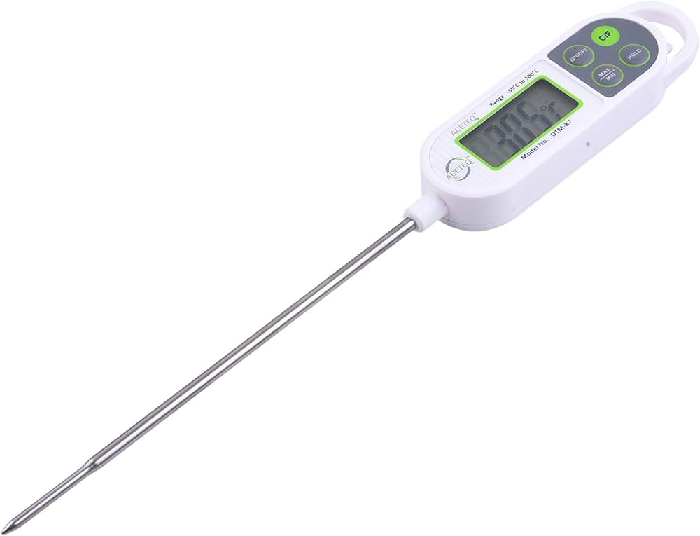 Waterproof Digital Thermometer
